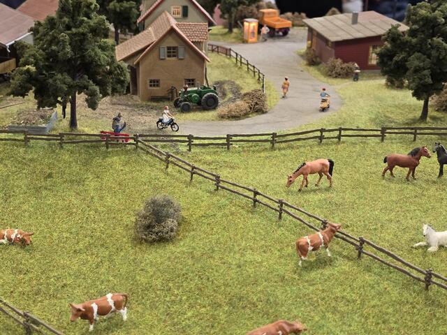 Foto: Heidrun Rosenberger