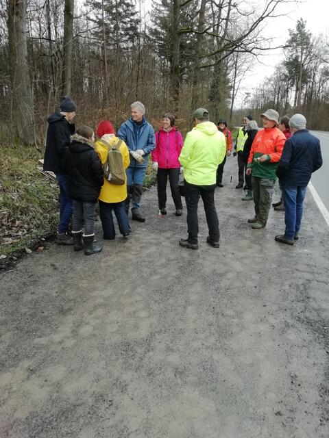 Foto: Pilzverein Heilbronn