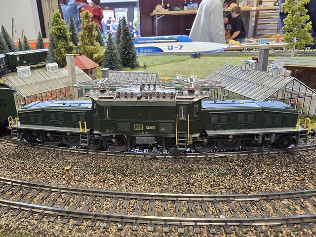 Das legendäre Krokodil  | Foto: Heidrun Rosenberger