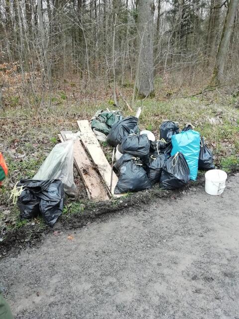 Foto: Pilzverein Heilbronn