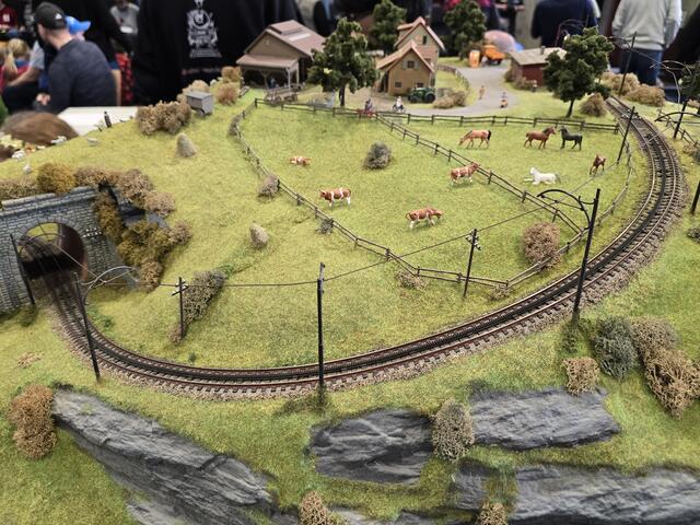 Foto: Heidrun Rosenberger