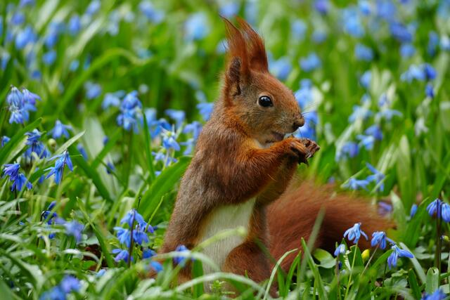 Foto: Moni Bordt