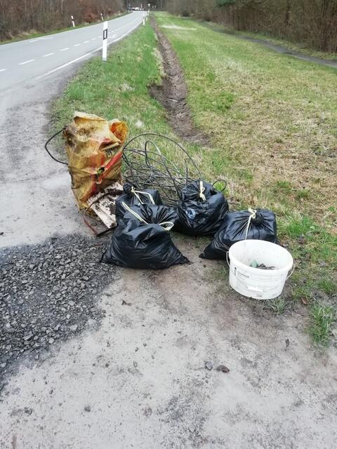 Foto: Pilzverein Heilbronn