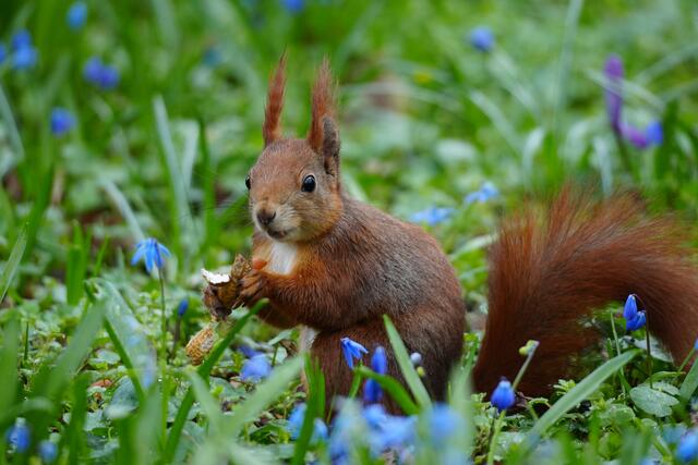 Foto: Moni Bordt