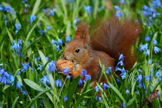 Foto: Moni Bordt
