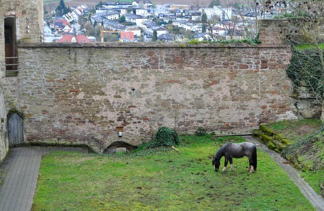 Ausblick auf Untergruppenbach mit Pferdchen im Schlossgraben | Foto: Daniela Somers