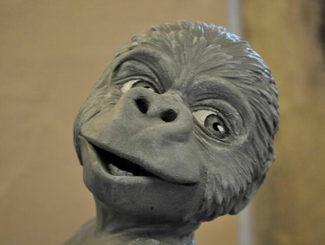 Wer kann diesem Blick widerstehen? | Foto: Daniela Somers