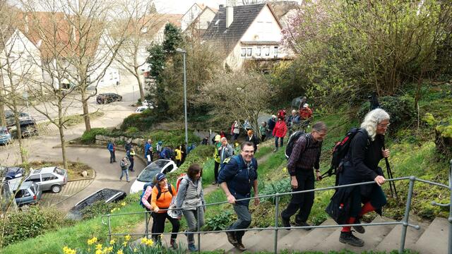 Die große Gruppe der Wanderer hat Marbach erreicht und geht nun hoch zur Stadtmauer | Foto: Isolde Reitz
