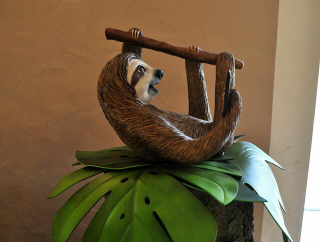 Faulbär als Handyhalter | Foto: Daniela Somers