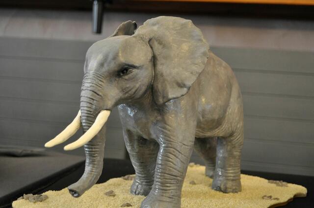 Ich finde die Figuren sehr realistisch. | Foto: Daniela Somers