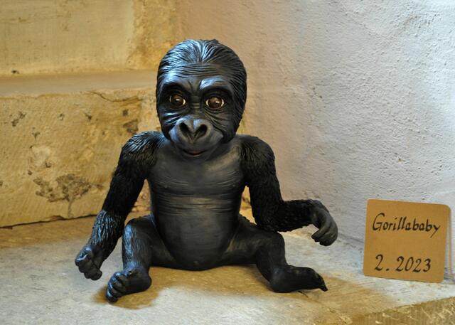 Foto: Daniela Somers