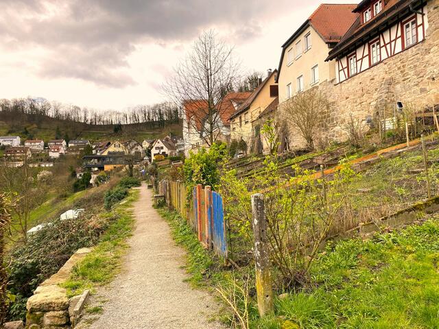 Foto: Heide Böllinger aus Bad Friedrichshall