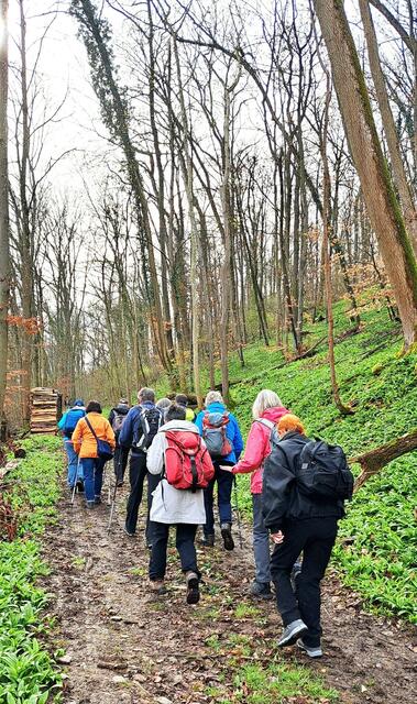 Durch ein mit Bärlach übersäten Waldstück. | Foto: Isolde Reitz