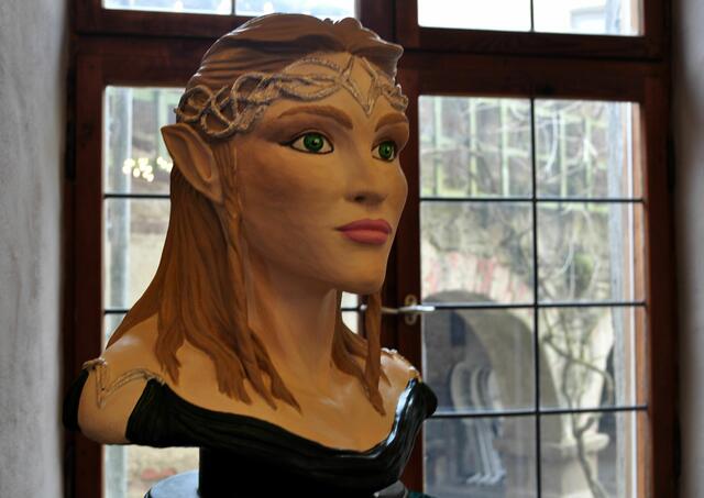 Das Ambiente der Burg passt hervorragend zur Ausstellung | Foto: Daniela Somers