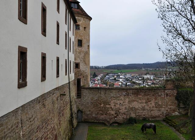 Foto: Daniela Somers