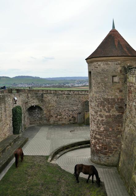 Und im Burggraben weiden die Pferde. Vielleicht war das auch schon so in früheren Zeiten. | Foto: Daniela Somers