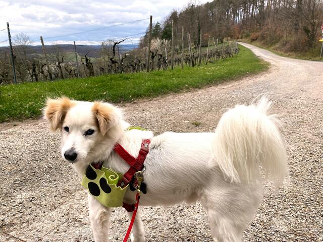 Foto: Heide Böllinger aus Bad Friedrichshall