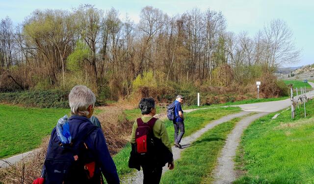 Auwäldle voraus | Foto: WandernGabyErich