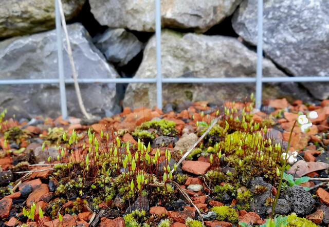Am Radweg zwischen Wehr und Schleuse | Foto: WandernGabyErich