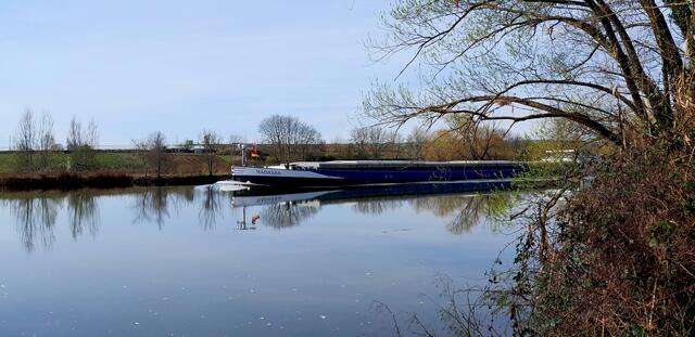 Direkt auf Höhe des Neckars, ein wunderschöner idyllischer Weg | Foto: WandernGabyErich