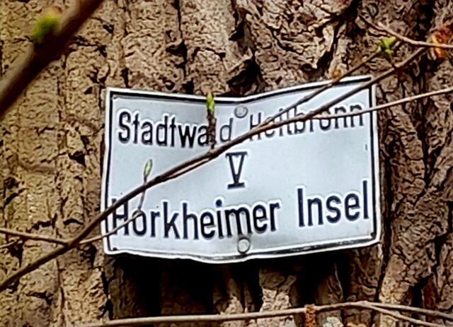 Stadtwald Abteilung V (fünf) | Foto: WandernGabyErich