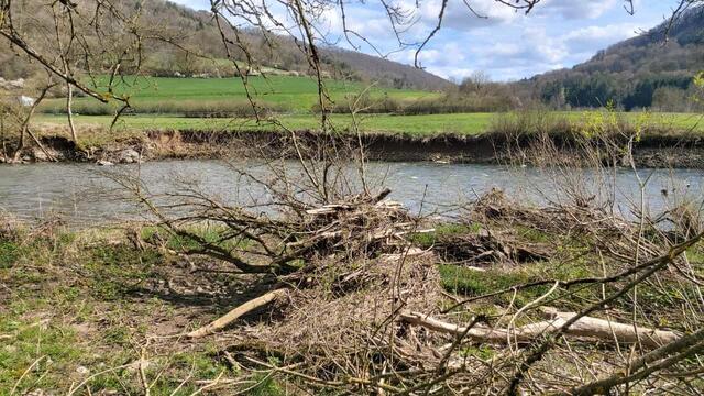 schee | Foto: Ralf Röser