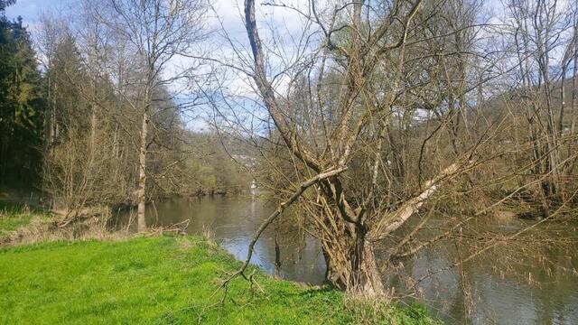 Kocher | Foto: Ralf Röser