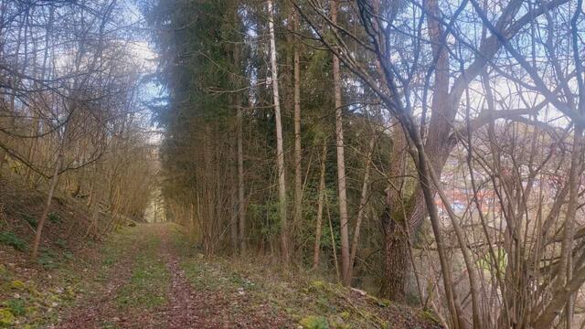 und weiter | Foto: Ralf Röser