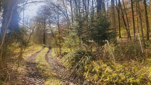 da rauf | Foto: Ralf Röser