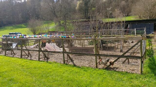 Hühnerstall | Foto: Ralf Röser