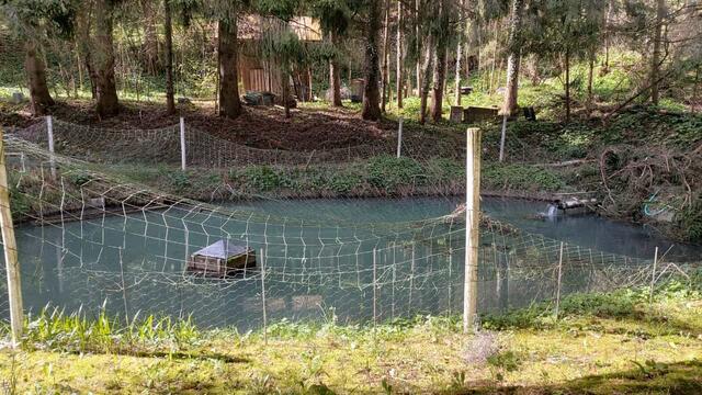 Fischli | Foto: Ralf Röser