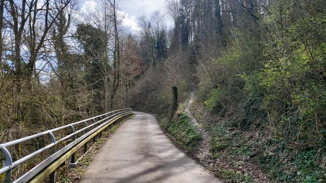 Hinter zum Campingplatz | Foto: Ralf Röser