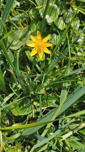schönes am Wegesrand | Foto: Ralf Röser