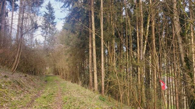 und wieder zurück | Foto: Ralf Röser