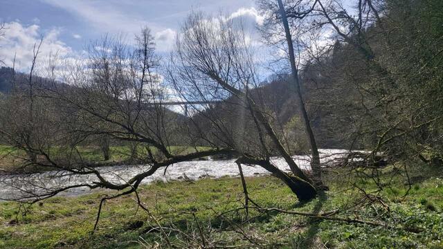 Kocher | Foto: Ralf Röser