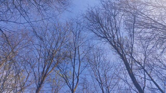 oben | Foto: Ralf Röser