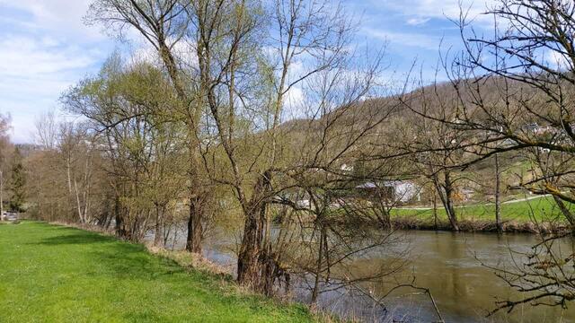 Kocher | Foto: Ralf Röser