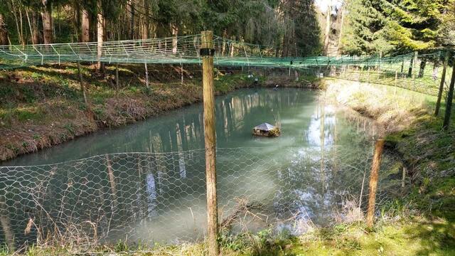 Fischli | Foto: Ralf Röser