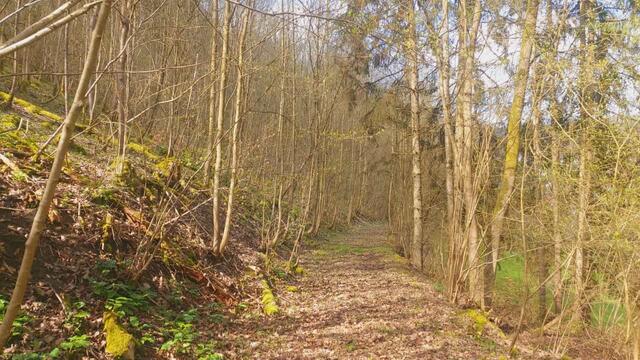 da lang | Foto: Ralf Röser