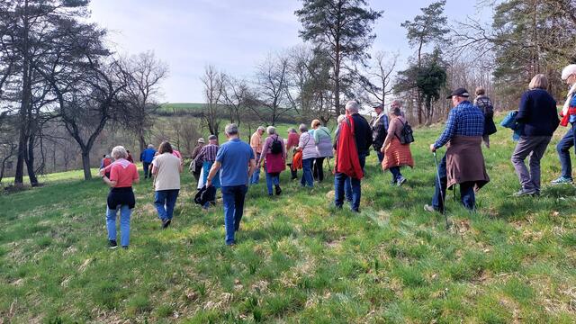 Den Wiesenhang hinab | Foto: Elfriede Baier 