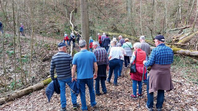 Hindernislauf | Foto: Elfriede Baier 