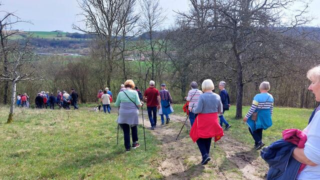 Den Hang hinab | Foto: Elfriede Baier 