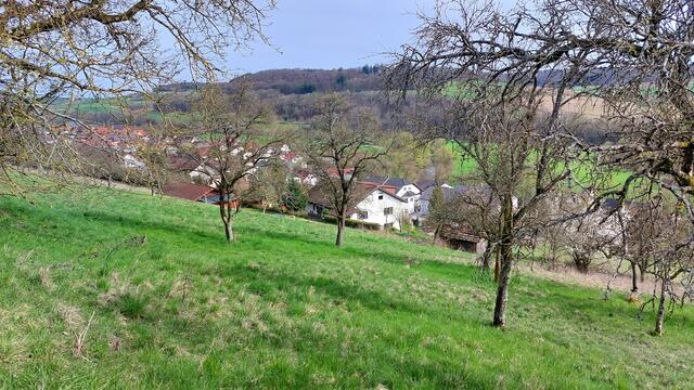 Blick vom Höhenweg auf Gommersdorf  | Foto: Elfriede Baier 