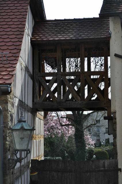 Eine kleine überdachte Brücke verbindet die Gebäude | Foto: Daniela Somers