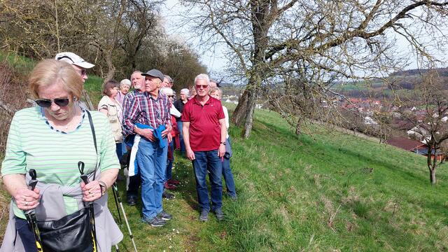 Entlang dem Höhenweg | Foto: Elfriede Baier 