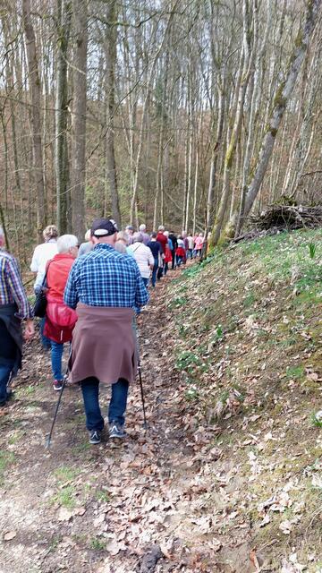 Lange Schlange | Foto: Elfriede Baier 