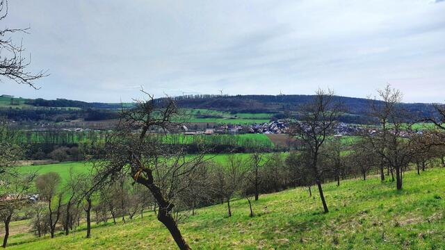 Aussicht übers Jagsttal nach Marlach | Foto: Elfriede Baier 