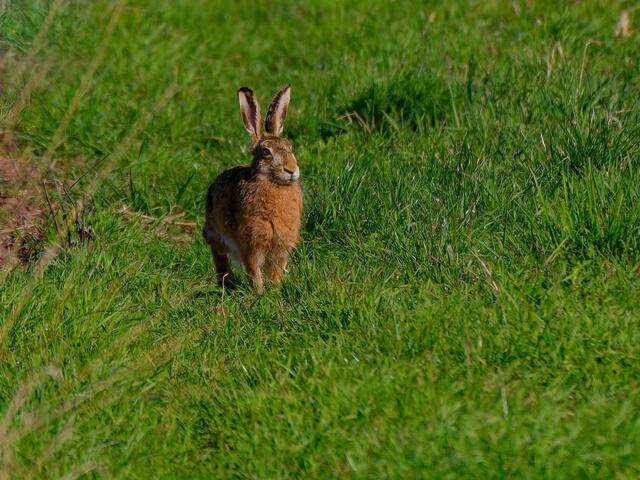 Foto: Eigenes Bild TB