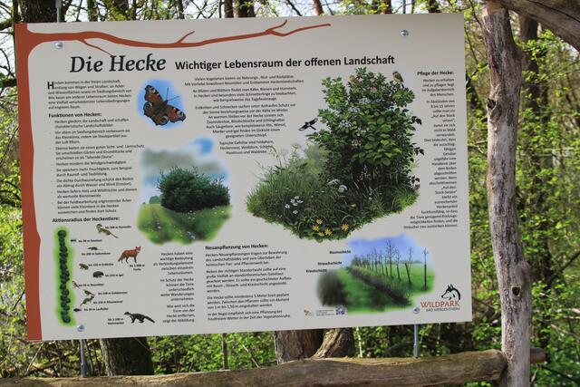 Wildpark Bad Mergentheim🐾🐻😍 | Foto: Ralf Röser