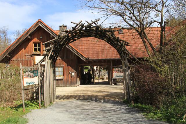 Wildpark Bad Mergentheim🐾🐻😍 | Foto: Ralf Röser